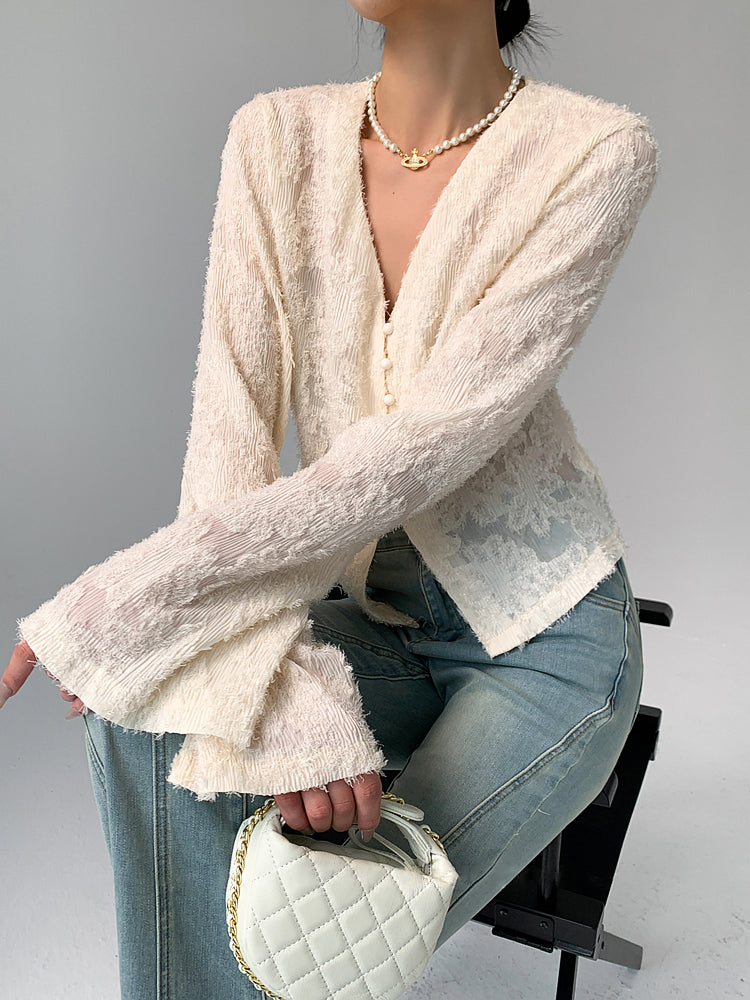 Semi-Sheer V-Neck Ruffle Long Sleeve Blouse