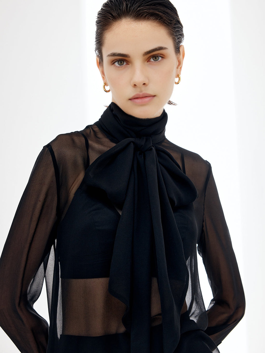 Sheer Bow Chiffon Blouse