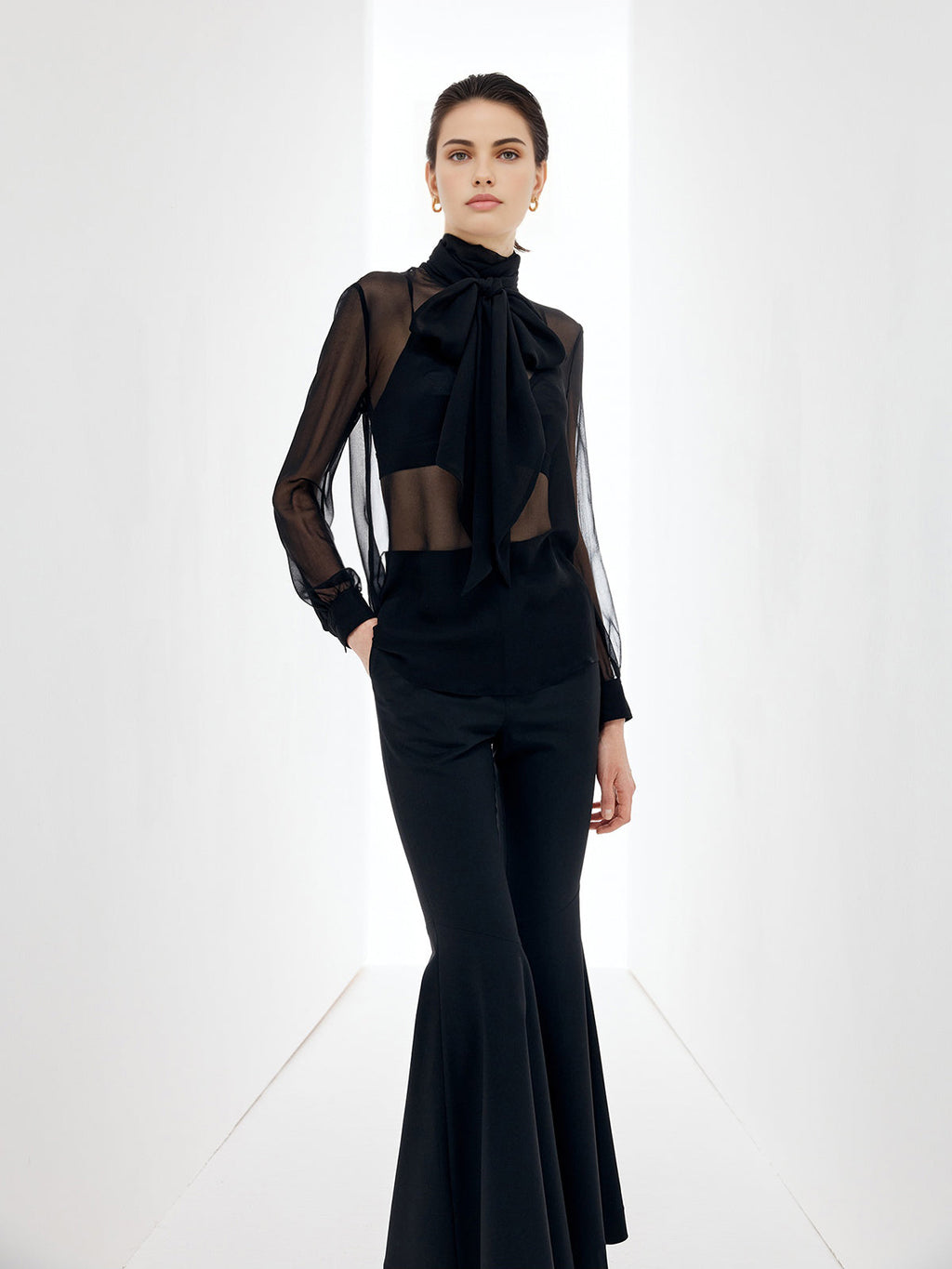 Sheer Bow Chiffon Blouse